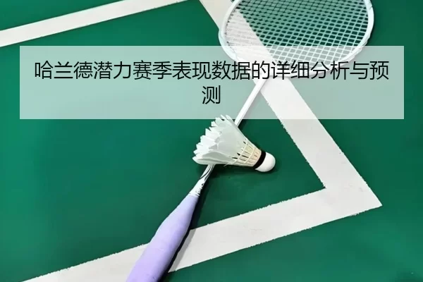 哈兰德潜力赛季表现数据的详细分析与预测