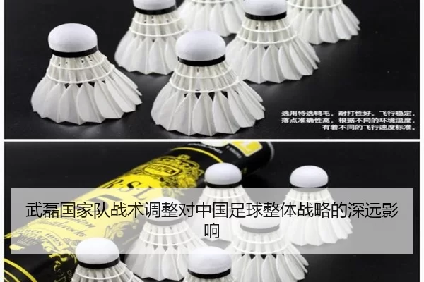 武磊国家队战术调整对中国足球整体战略的深远影响