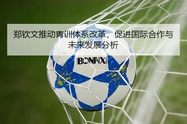 郑钦文推动青训体系改革，促进国际合作与未来发展分析